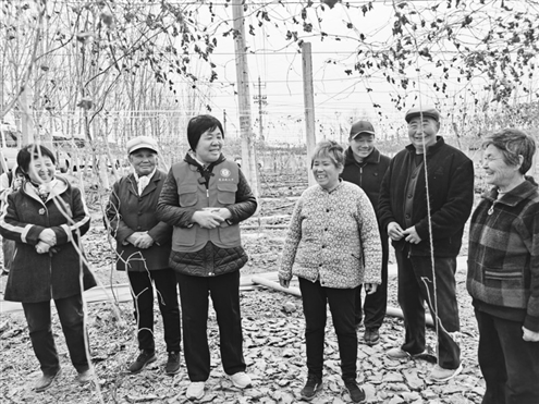 杜立芝向村民传授农业种植技术